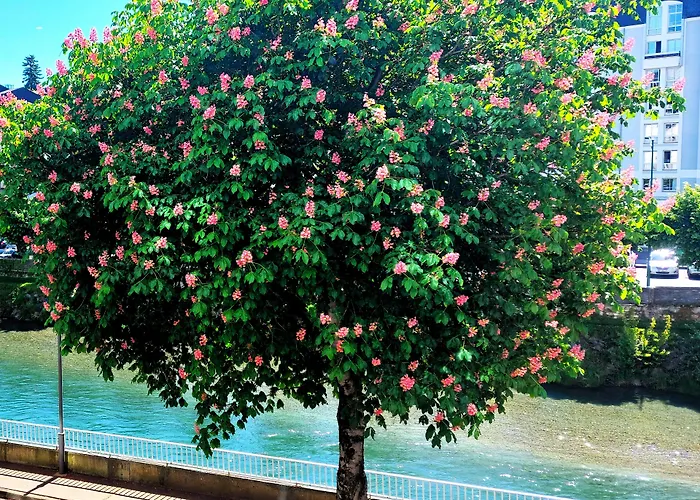 Szálloda Christina 3*