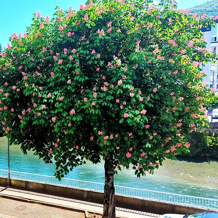 Отель Christina 3*